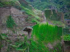 -枸杞岛