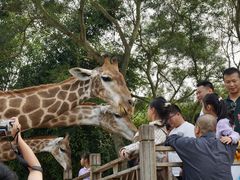 -泉州海丝野生动物世界