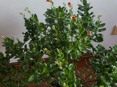 -老街坊海鲜家常菜(新城路店)