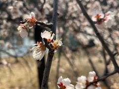 -白塘生态植物园