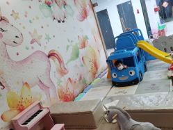 -Cool  Fun 蓝鲸π婴幼儿水育中心(宜乐荟店)