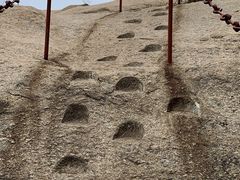 -鲁山国家森林公园