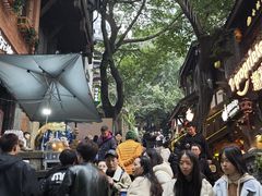 -重庆十八梯传统风貌区