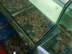 水产区-雅逸居海鲜小厨