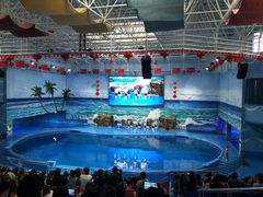 -多彩贵州城极地海洋世界