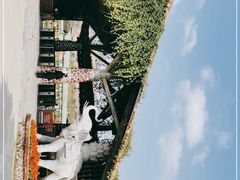 -盈香心动乐园