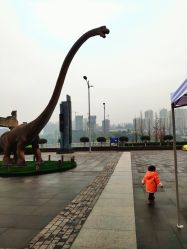 -恐龙探索乐园(磁器口店)