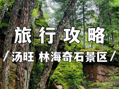 -汤旺河林海奇石景区