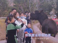 -太原动物园