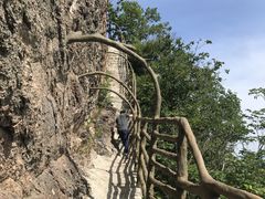 -天女山森林公园