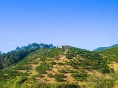 -云和湖仙宫景区