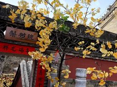 -潭柘寺景区