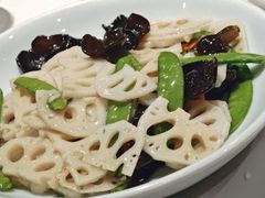 -新侨小馆(东直门北小街店)