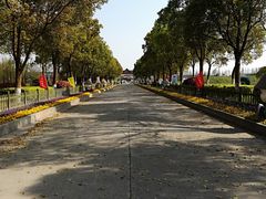 -上海都市菜园