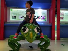 -上海昆虫博物馆