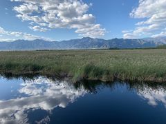 -野鸭湖国家湿地公园