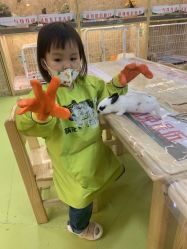 -萌宠家互动乐园