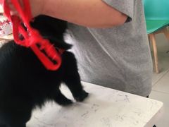 -宠颐生动物医院·小陆分院