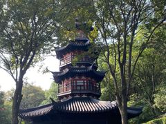 -上海佘山国家森林公园西佘山园