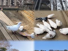 -音乐台
