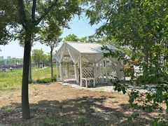 -天津东丽湖风景区