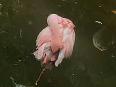 -九龙公园