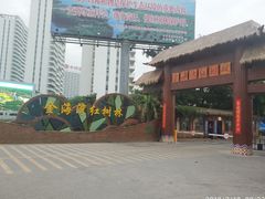 -北海金海湾红树林生态旅游区