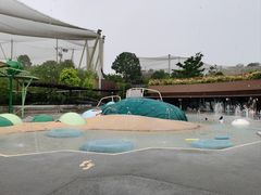 -新加坡飞禽公园
