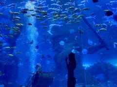 -哈尔滨波塞冬海底世界