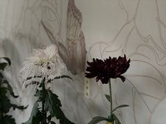 -杭州植物园