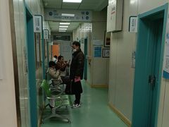 -北京观赏动物医院·24小时大型综合·猫专科·异宠专科