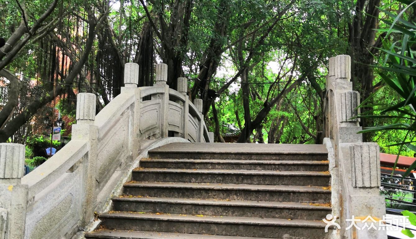 漫步公园