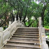 漫步公园