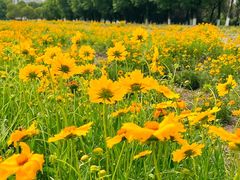 -汉长安城未央宫国家考古遗址公园