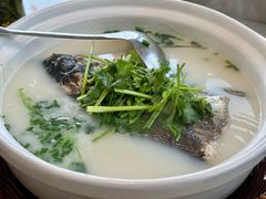 -紫藤园·天目湖大鱼头(南山竹海店)