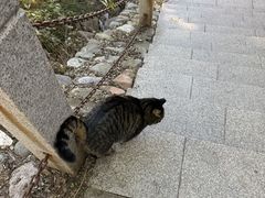 -北京凤凰岭