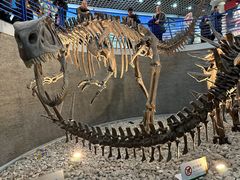 -国家自然博物馆