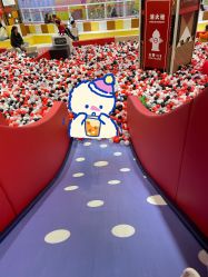 -哈尼鹿儿童乐园(长沙梅溪湖步步高店)