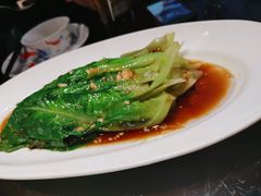 -肥猫(义乌万达店)