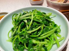 邹山腐皮鸡毛菜-竹外桃花·江南小酒馆(SKP·S店)