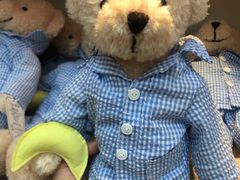 -济州岛泰迪熊博物馆