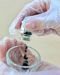 -慈蕊美容养生·专业经络调理