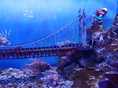 -太平洋海底世界