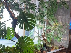 -海立阁海鲜江浙菜(漕河泾印象城店)