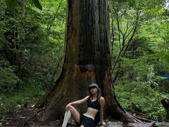 -天目山大树王景区