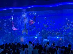 -石家庄极地海洋世界