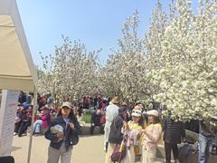 -元大都城垣遗址公园