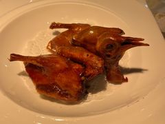 红烧乳鸽-陶陶居·雅园(凯华国际店)
