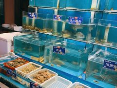 水产区-粥全粥到海鲜家常菜·海肠捞饭(嫩江路店)