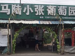 -马陆小张葡萄园农家乐